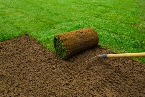 Bakersfield Gardening Service, Bakersfield Gardener