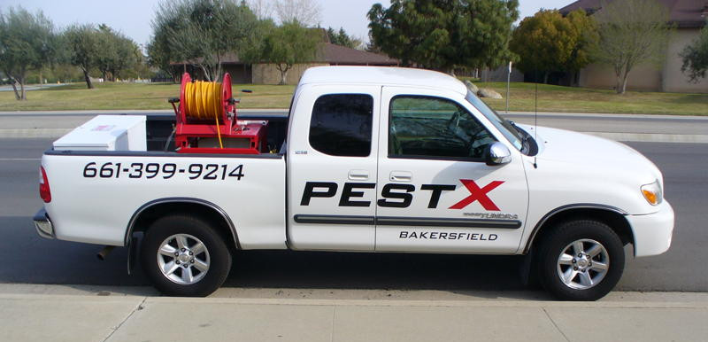 pest control Bakersfield, Pest X Bakersfield